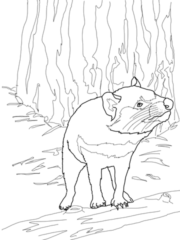 Australian tasmanian devil coloring page free printable coloring pages