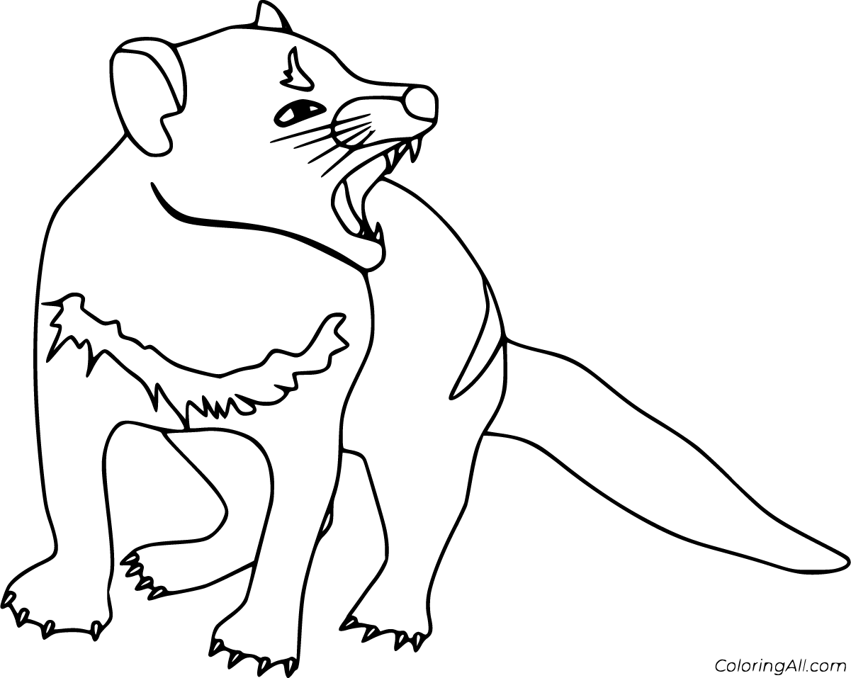 Tasmanian devil coloring pages