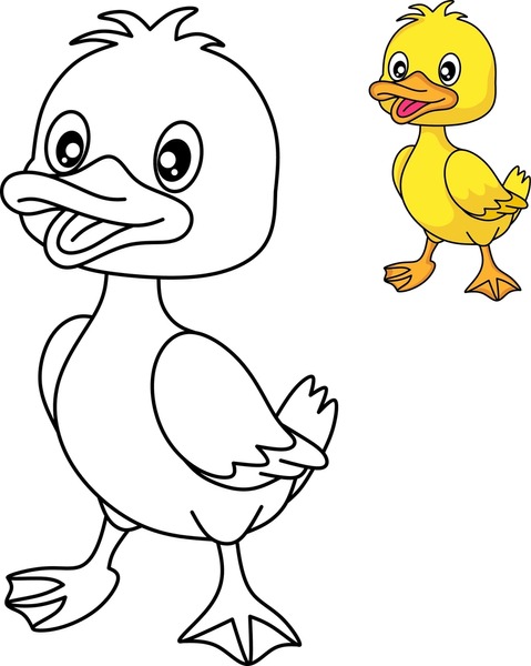 Duck coloring royalty