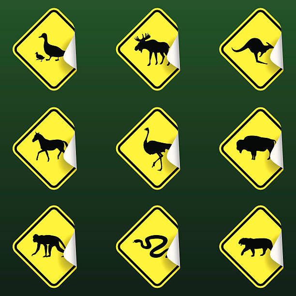 Ducks crossing road sign stock photos pictures royalty