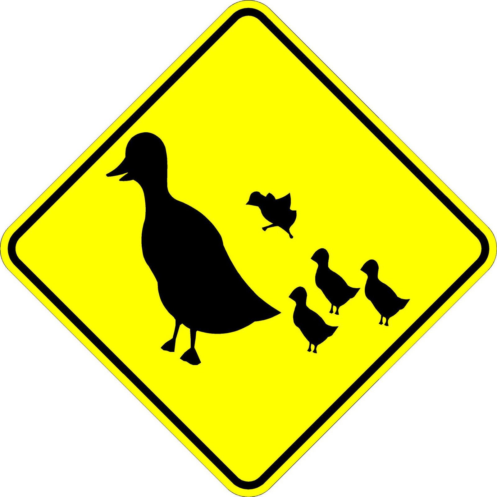 Duck crossing