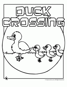 Activities for the classic childrens book make way for ducklings from classroom jrâ make way for ducklings teacher worksheets lesson plans classroom printables