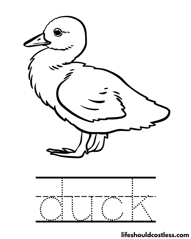 Duck coloring pages free printable pdf templates