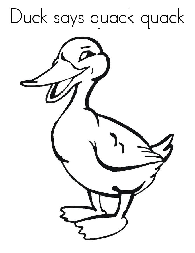 Duck coloring pages â coloringrocks coloring pages cow coloring pages puppy coloring pages