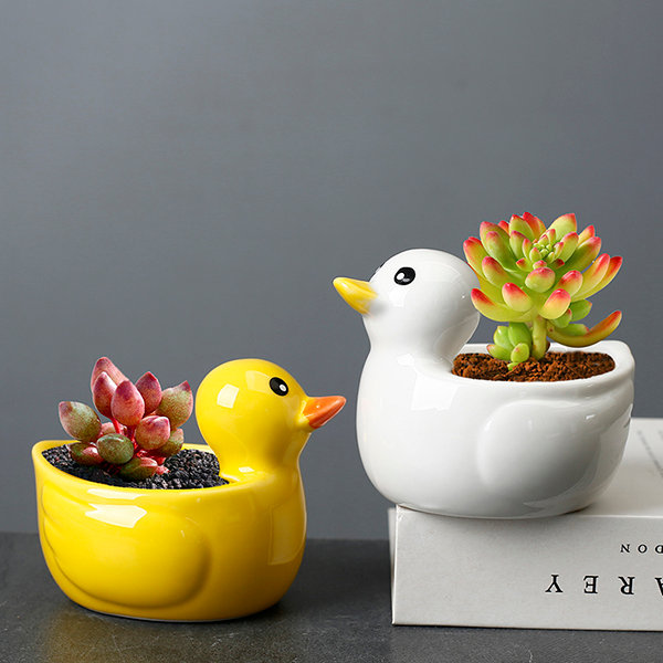 Darling duck planter