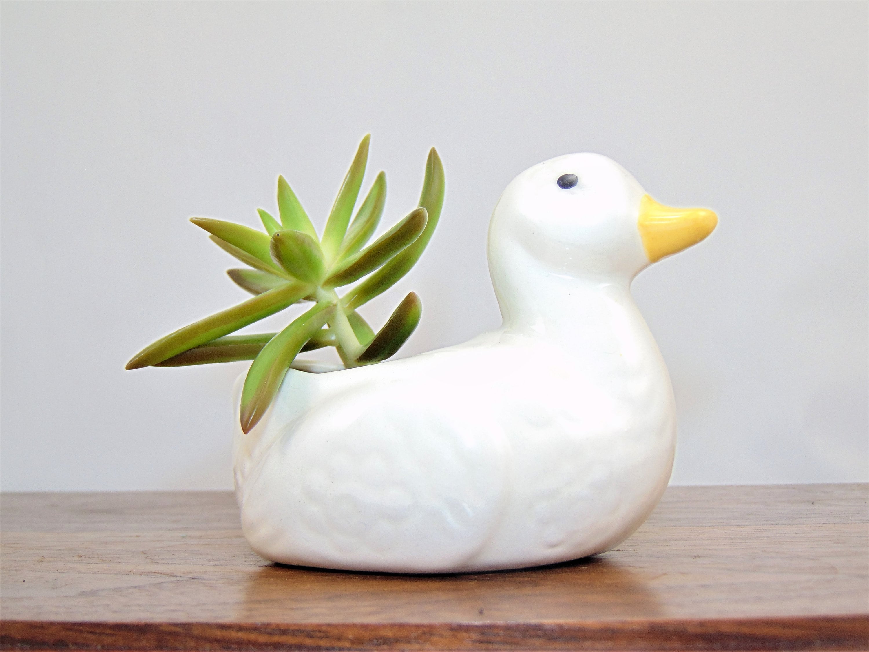 Small ceramic duck succulent cactus air plant holder planter pot