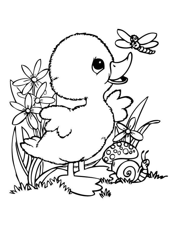 Related image cute coloring pages animal coloring pages bird coloring pages
