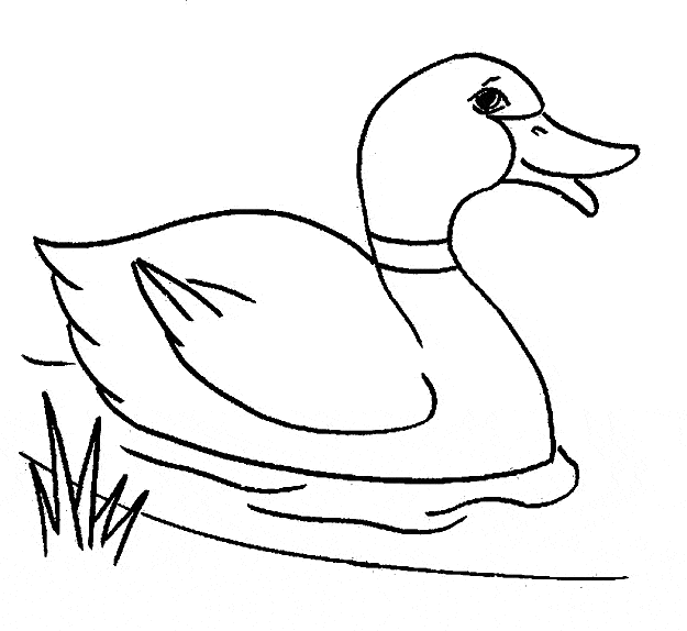 Duck coloring page