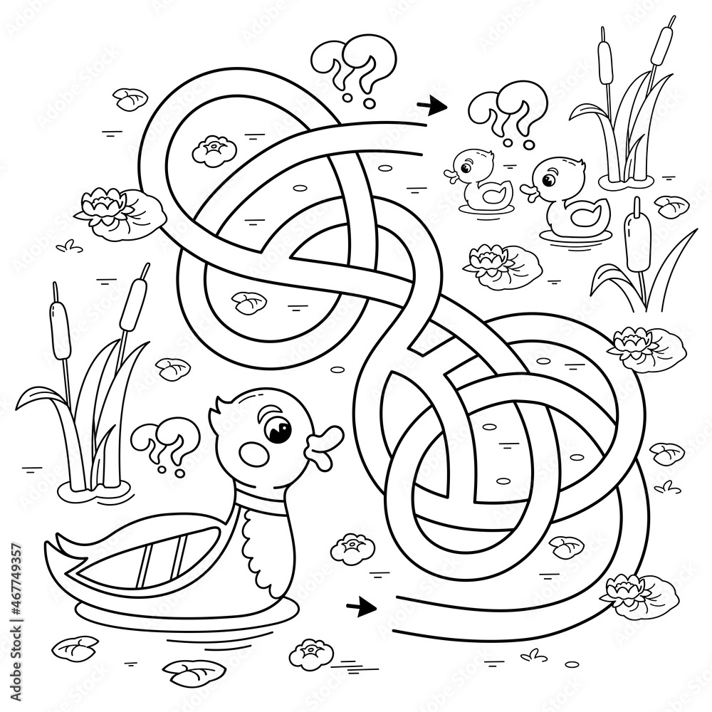 Maze or labyrinth game puzzle tangled road coloring page outline of cartoon duck with little ducklings coloring book for kids vector