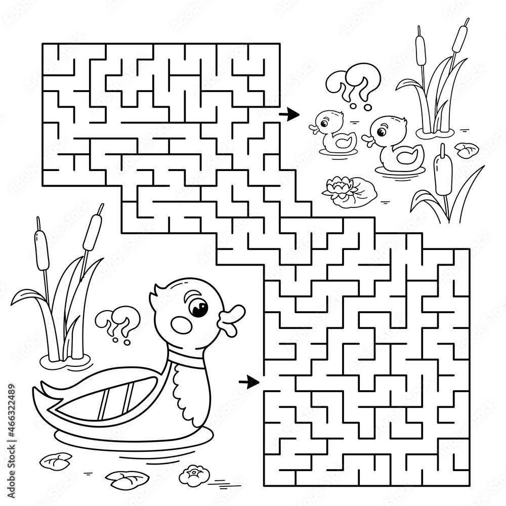 Maze or labyrinth game puzzle coloring page outline of cartoon duck with little ducklings coloring book for kids vector