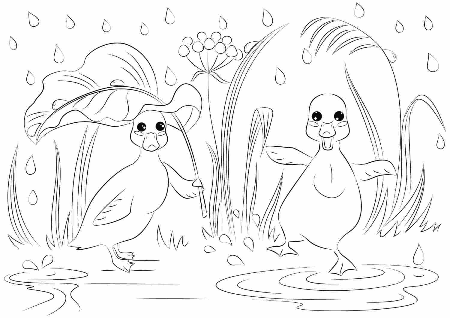 Funny cartoon ducks dancing under the rain coloring page
