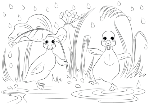 Two ducks in the rain coloring page free printable coloring pages