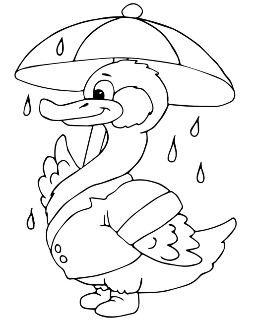 Coloring pages duck under the rain coloring page