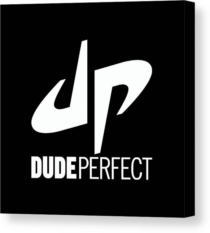 Dude perfect canvas print canvas art by farah jey