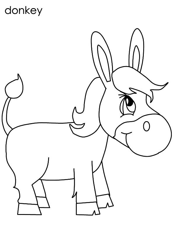 Mexican donkey chibi mexican donkey coloring pages coloring pages donkey drawing chibi