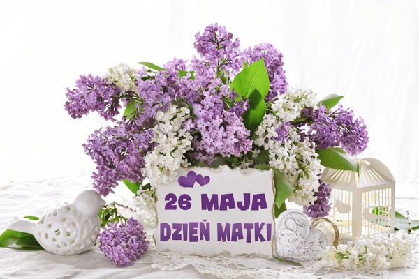 Dzieå matki royalty