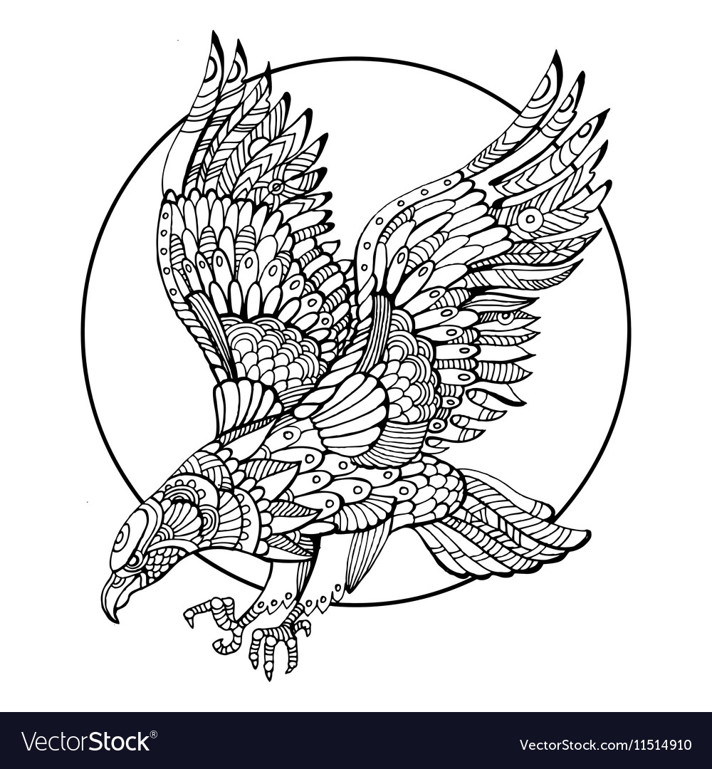 Eagle bird coloring book for adults royalty free vector