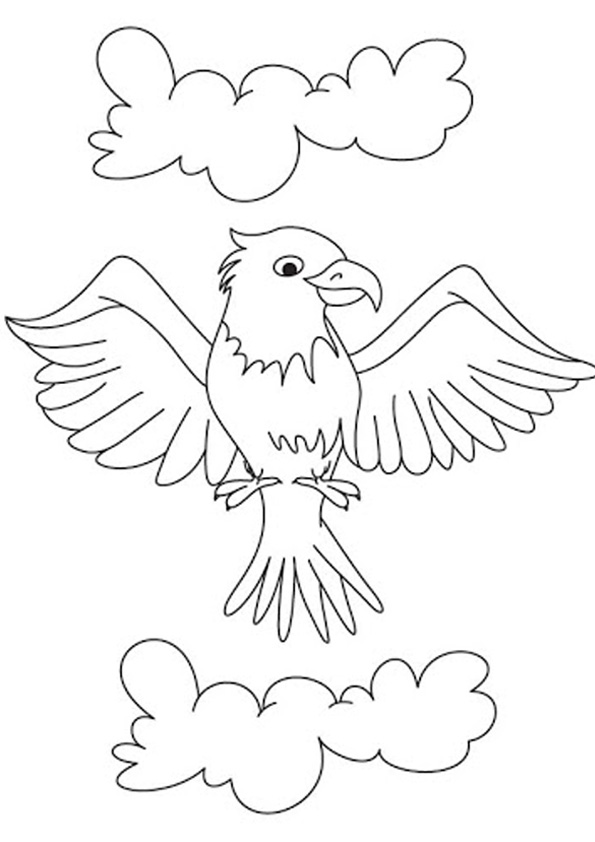 Coloring pages printable eagle coloring sheet