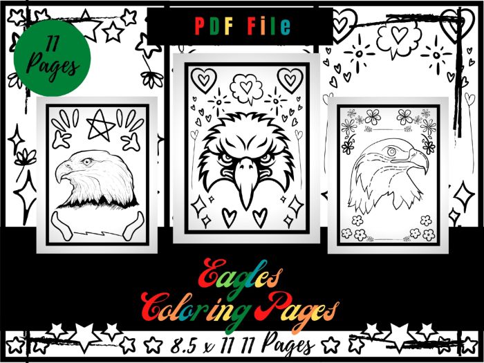 Eagles animals colouring pages for kids eagle colouring sheets pdf teaching resources