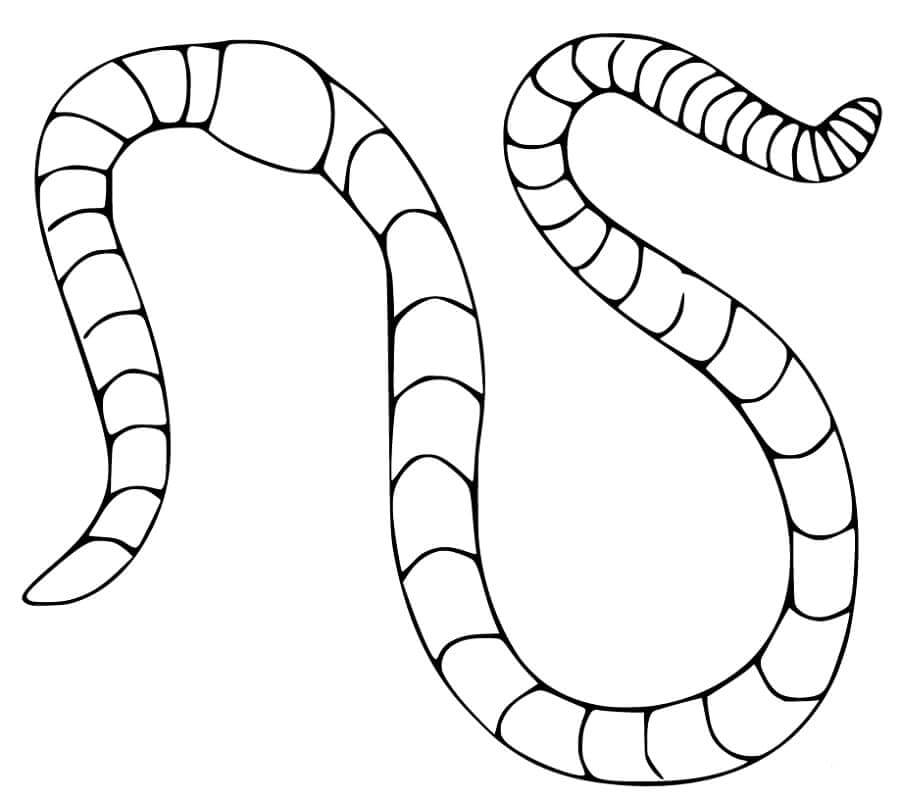Basic earthworm coloring page