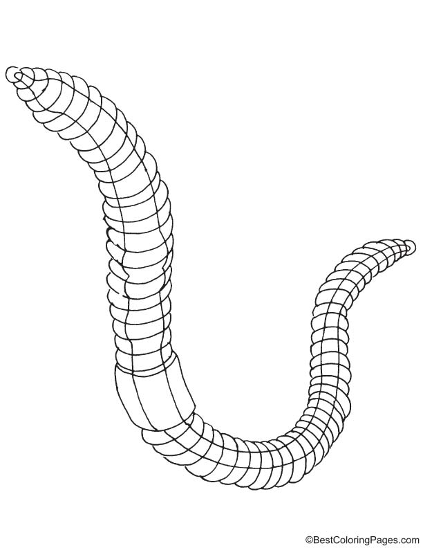 Tube shaped earthworm coloring page download free tube shaped earthworm coloring page for kids best coloring pages