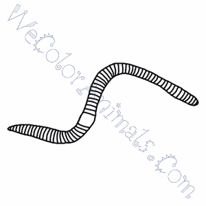 Earthworm coloring pages
