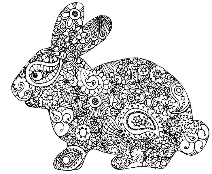 Easter bunny coloring page for adults í ë ìì êµë ìëë íìì ìëë ë