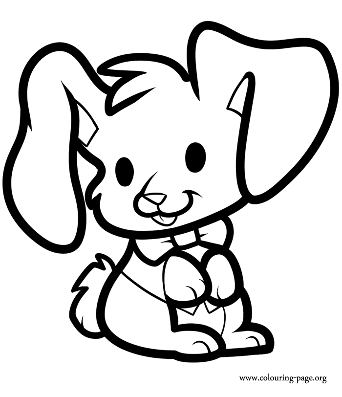 Rabbits and bunnies