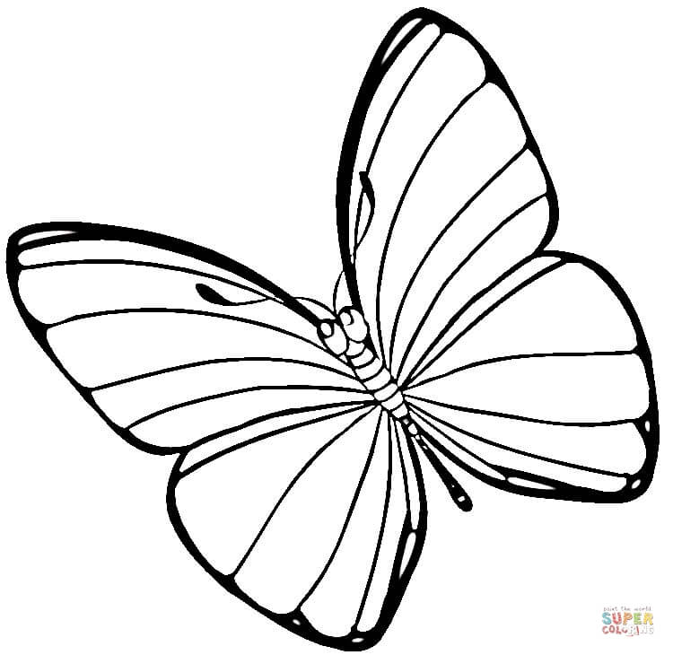 Easter butterfly coloring page free printable coloring pages