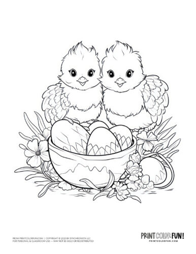 Easter eggs baby chicks coloring pages clipart at