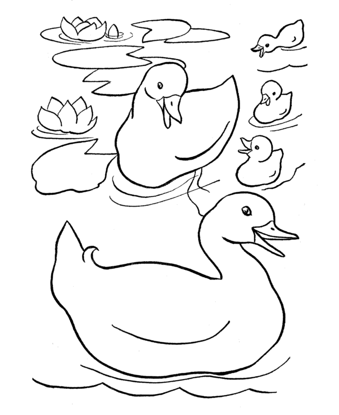 Bluebonkers free printable easter ducks coloring page sheets