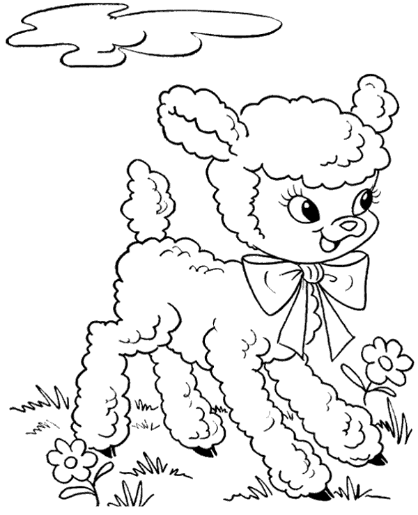 Little sheep picture to color