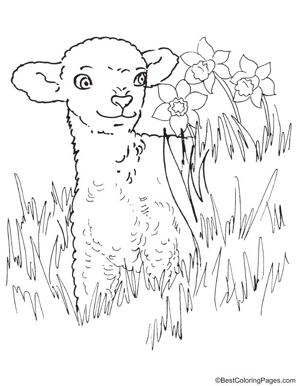 Easter lamb coloring page download free easter lamb coloring page for kids best coloring pages