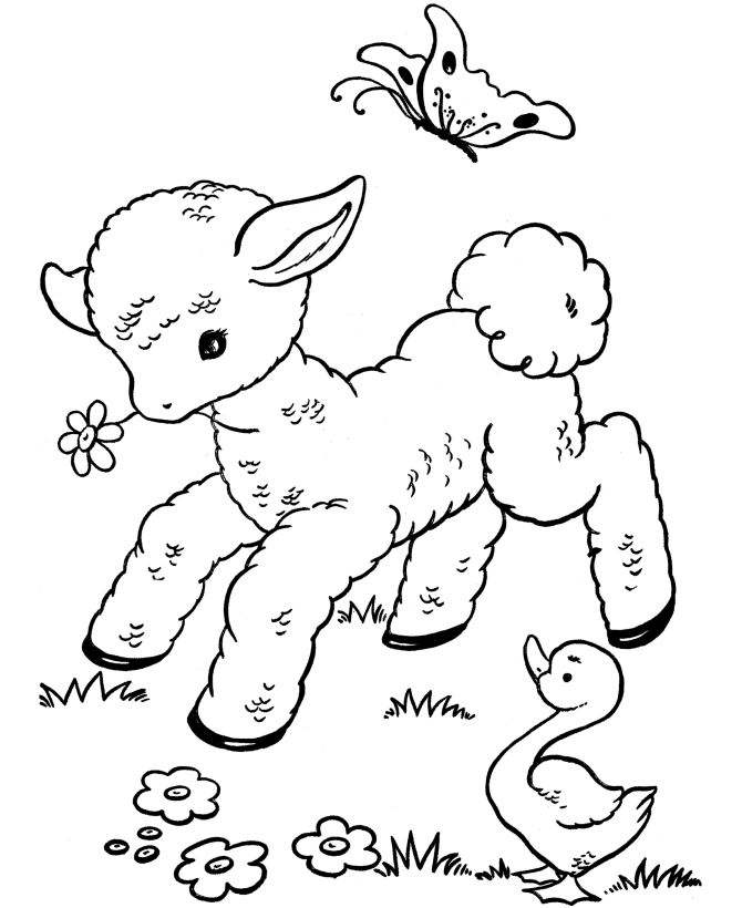 Explore the joy of coloring for children