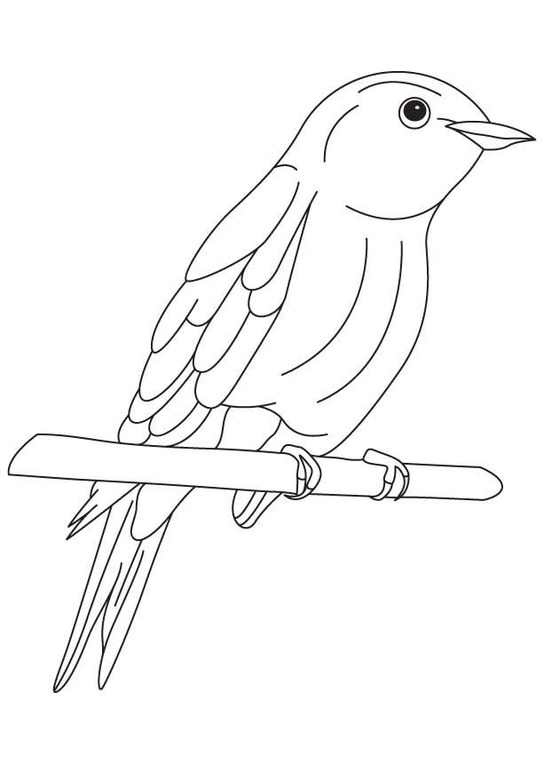 Bluebird coloring pages