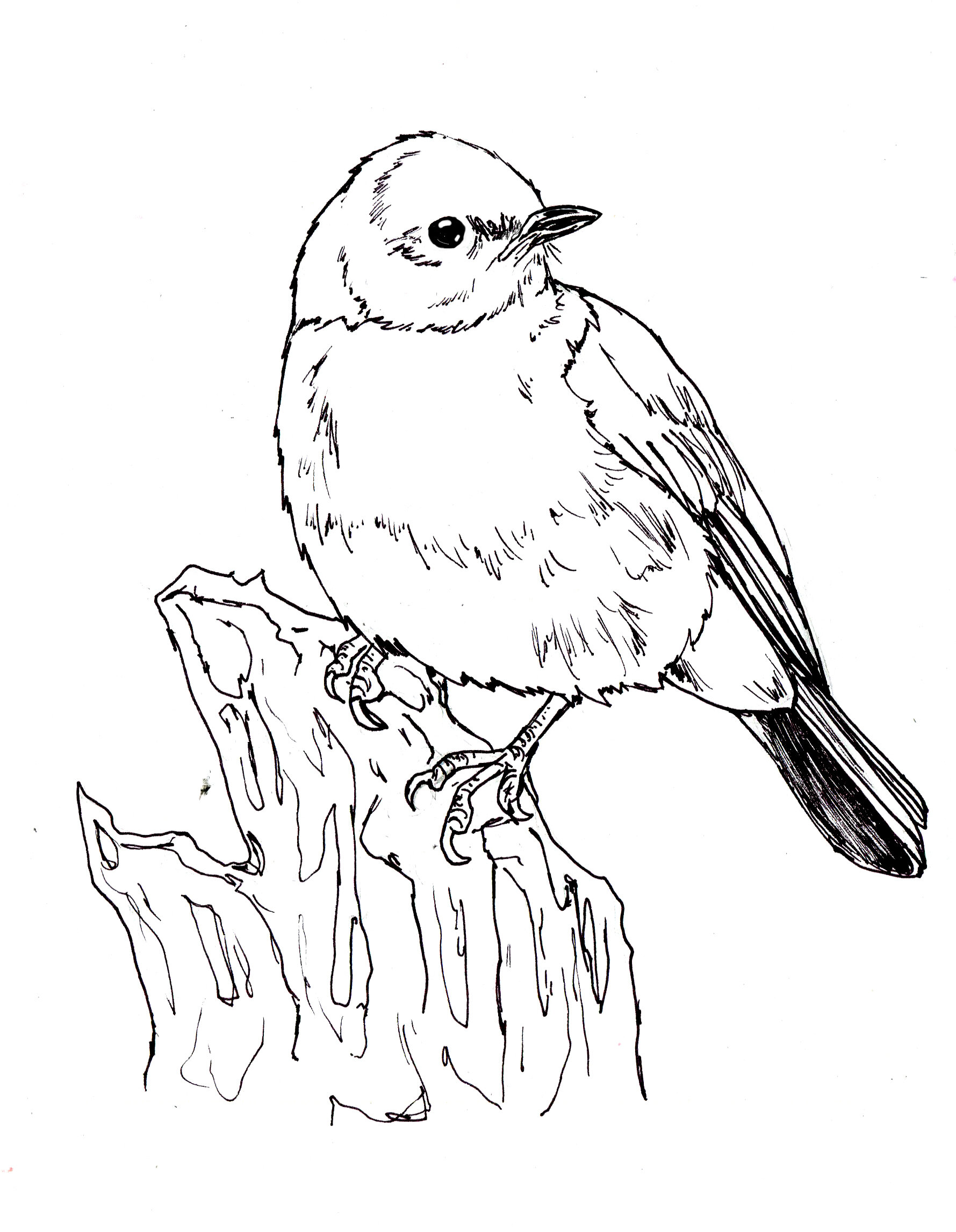 Coloring pages â home
