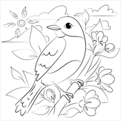 Bluebird coloring pages free coloring pages