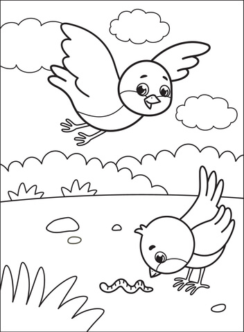 Bluebird coloring pages free coloring pages