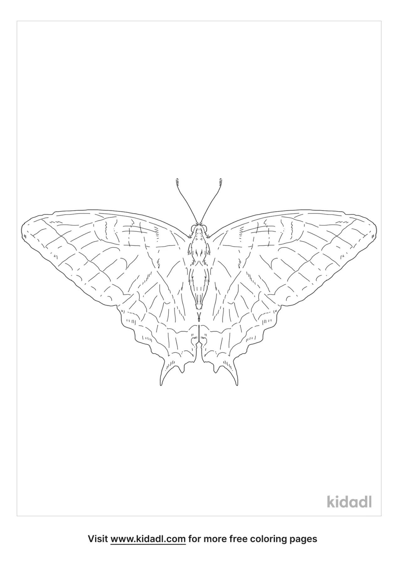 Free eastern tiger swallowtail coloring page coloring page printables