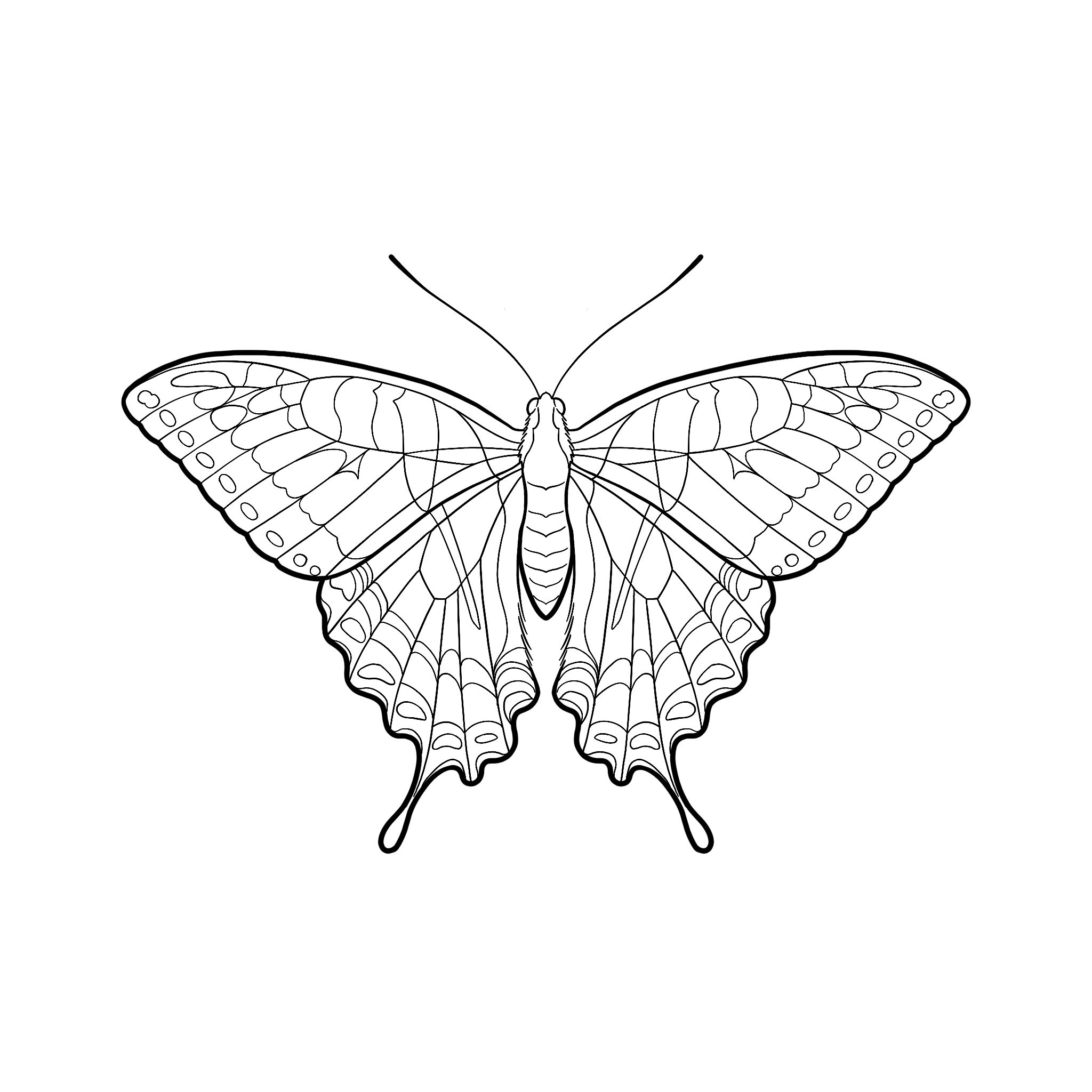 Tiger swallowtail butterfly â sky rocket tattoos