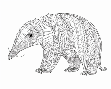 Anteater pages