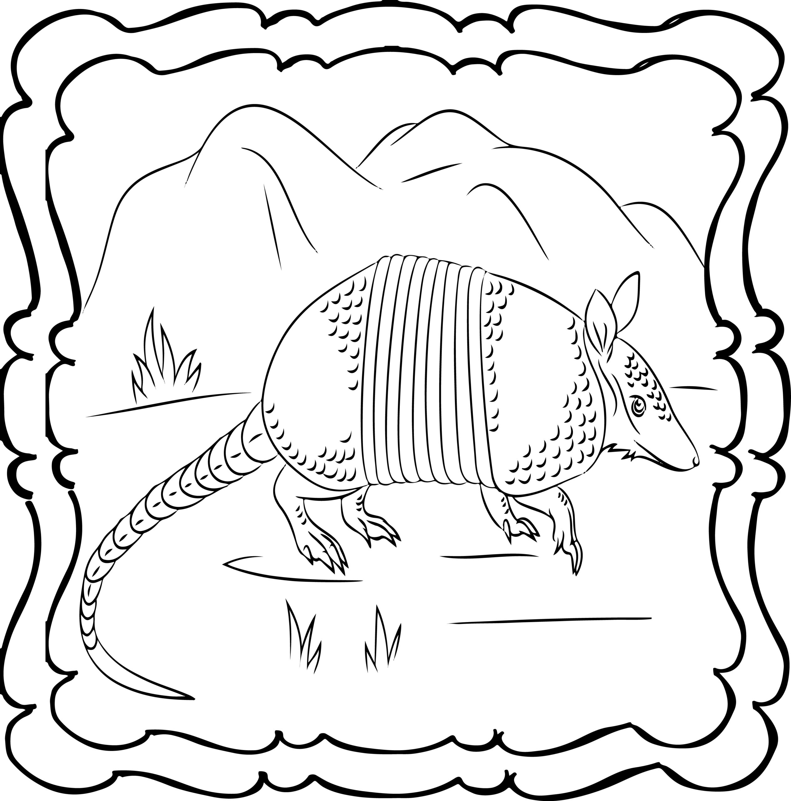 Armadillo coloring book easy and fun armadillos colouring book for kids made by teachers