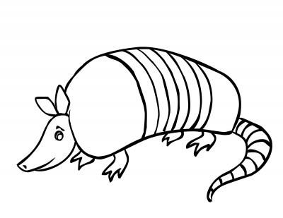Armadillo cartoon pictures coloring pages super coloring pages armadillo