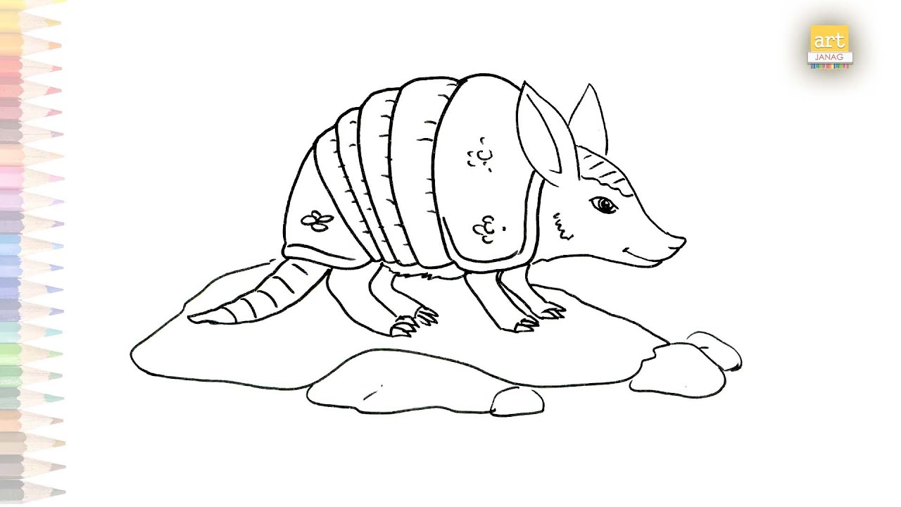 Aradillos coloring aradillos dibujo facil how to draw aradillos step by step easy drawings