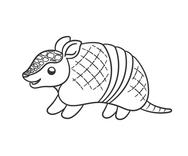 Armadillo outline images stock photos d objects vectors