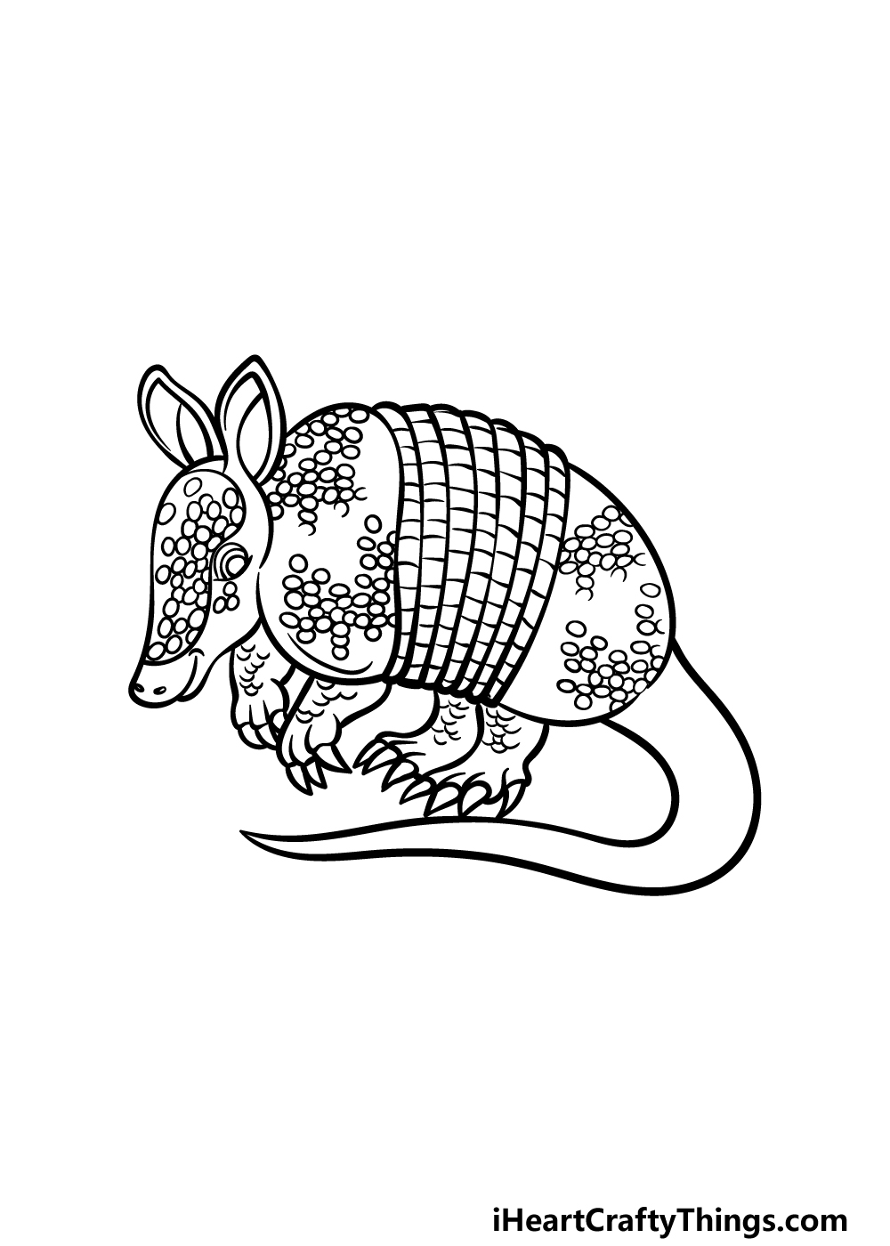 Armadillo drawing