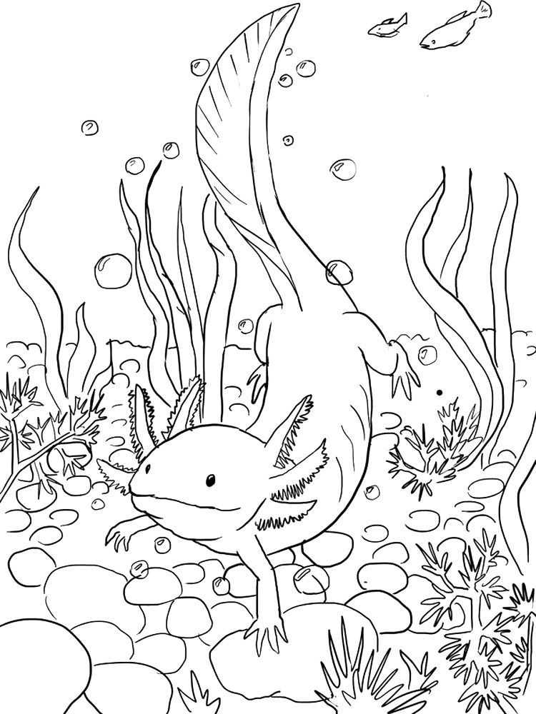 Free axolotl coloring pages download and print axolotl coloring pages animal coloring pages coloring pages coloring pages for kids