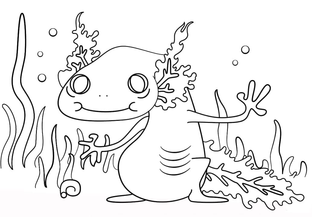 Axolotl coloring pages