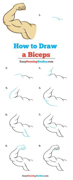 How to draw a biceps