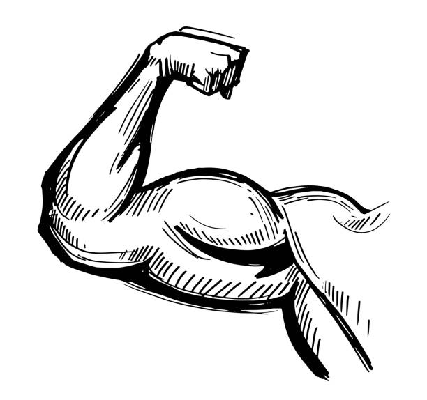 Flexing bicep drawing stock illustrations royalty